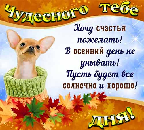 Wonderful autumn day!
