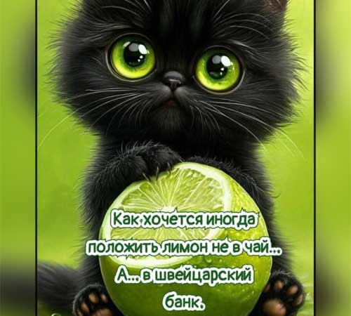 �������� (��������) ��� ���������� jpeg - ����� - � ����������� ����!